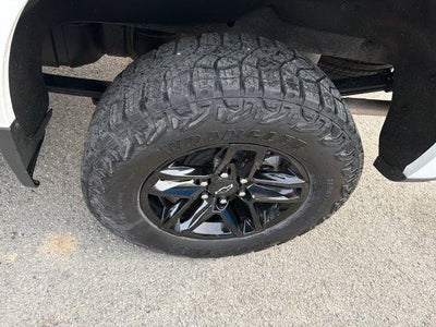 2024 Chevrolet Silverado 1500 Custom Trail Boss